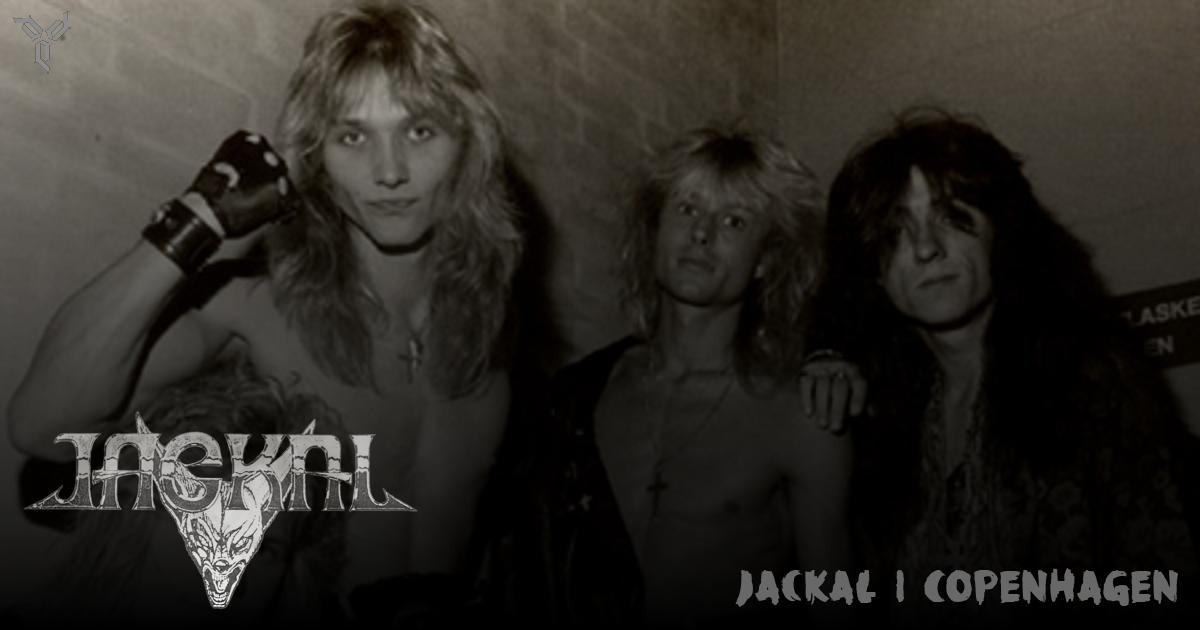 Jackal